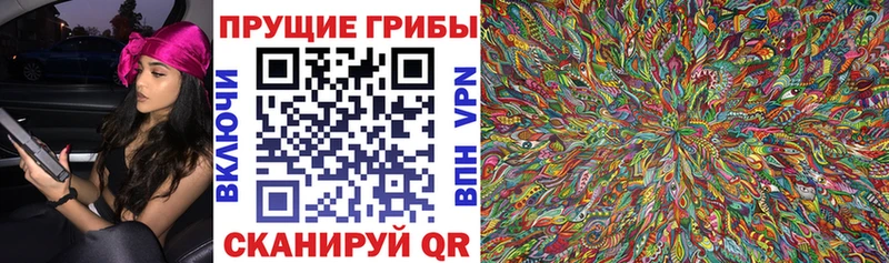 Галлюциногенные грибы Psilocybine cubensis Порхов